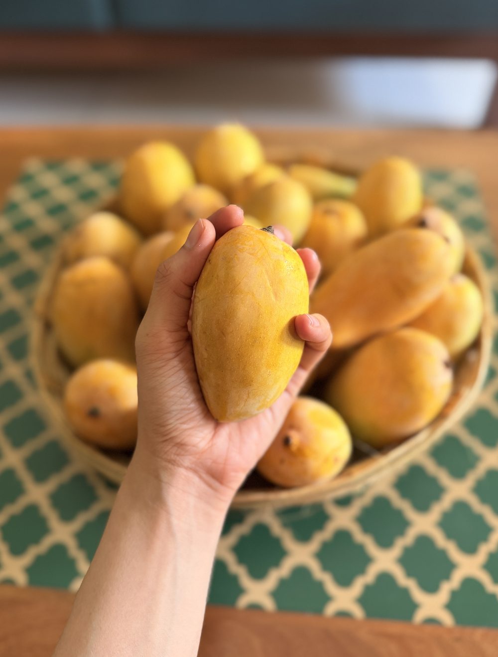 A hand holding a ripe mango above a basket of mangoes